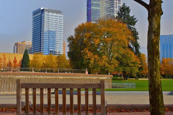 Sheraton Bellevue Hotel